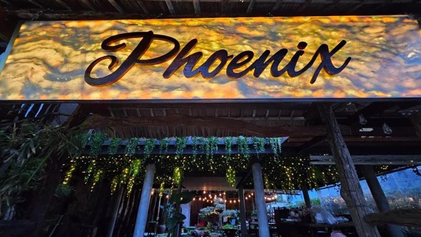 Phoenix Hotel An Bang Beach Хоян Екстер'єр фото